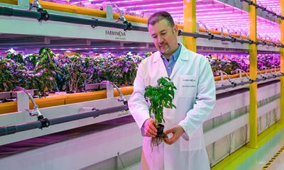 Türkiye’nin ilk bitki fabrikası