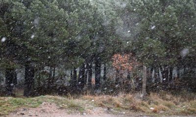 İstanbul’da kar yağışı başladı