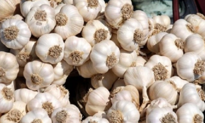 Corona virüsü hakkında hurafeler