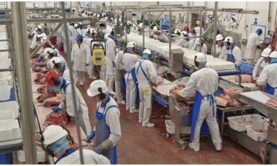 Et fabrikasında koronavirüs şoku