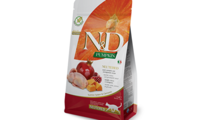 Tahılsız Kedi Maması