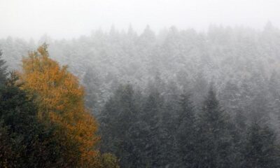 Meteoroloji uyardı!