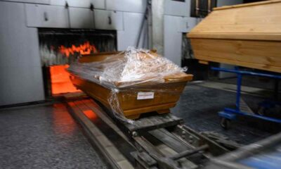 Corona virüsünün 17 farklı mutasyonu çıktı