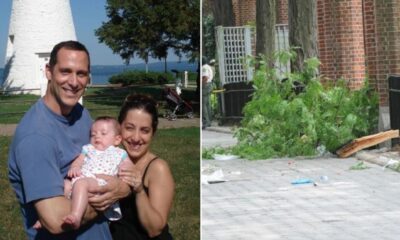 Üzerine ağaç düşerek ölen bebeğin ailesine 13 milyon dolar tazminat