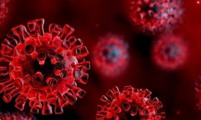 Pandeminin başından beri ilk vakayı bildirdiler