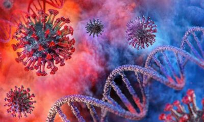 Mutasyon corona virüs belirtileri