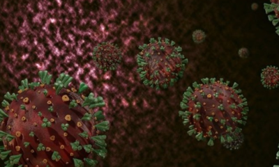 Delta varyantından sonra yeni bir mutasyon keşfedildi