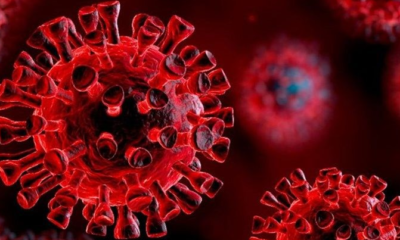 Galatasaray’da corona şoku!