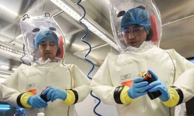 Corona virüsüyle ilgili ortalığı karıştıracak rapor