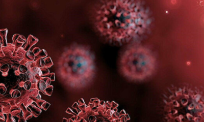 DSÖ’den Delta varyantı uyarısı