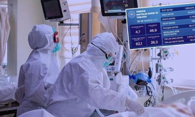 DSÖ, coronanın kökenini araştırmak istedi!