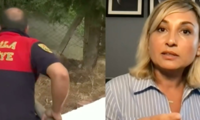 California yangınlarına müdahale eden Türk uzmandan öneriler