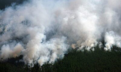 Dünyada bir ilk: Kuzey Kutbu’nu duman kapladı