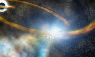 Harvard Üniversitesi dünya’yı bekleyen yeni bir tehlikeyi ortaya çıkardı!