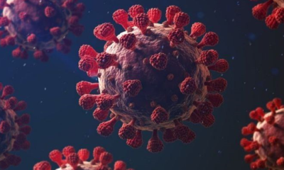 Yeni bir mutasyon korkusu…