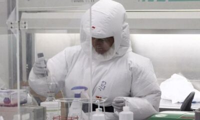 Laboratuvarda fare bilim insanını ısırdı