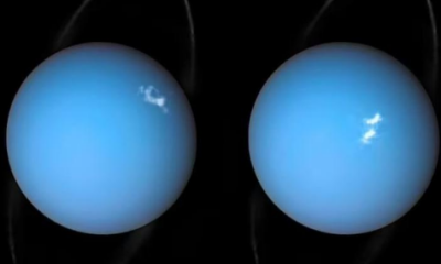 NASA’ya “Uranüs’e gidin” ve “gezegeni koruyun” çağrısı