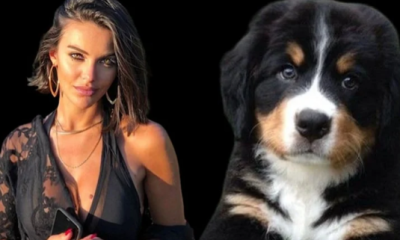 Tuvana Türkay köpeğini kurtarmak için denize atladı