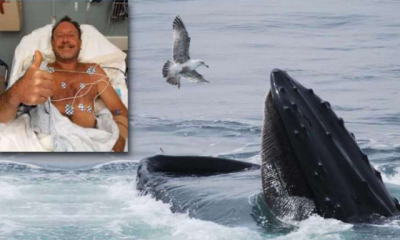 Balina tarafından yutulan adam yaşadıklarını anlattı