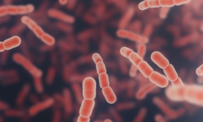 Gizemli hastalık hızla yayılıyor!