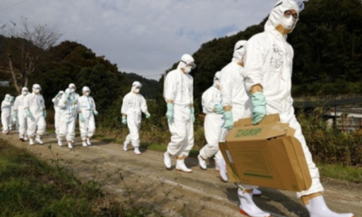 Salgın hastalık paniği büyüyor