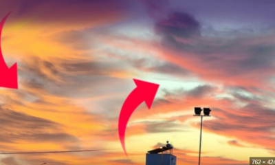 Bodrum’da tedirgin eden görüntü…