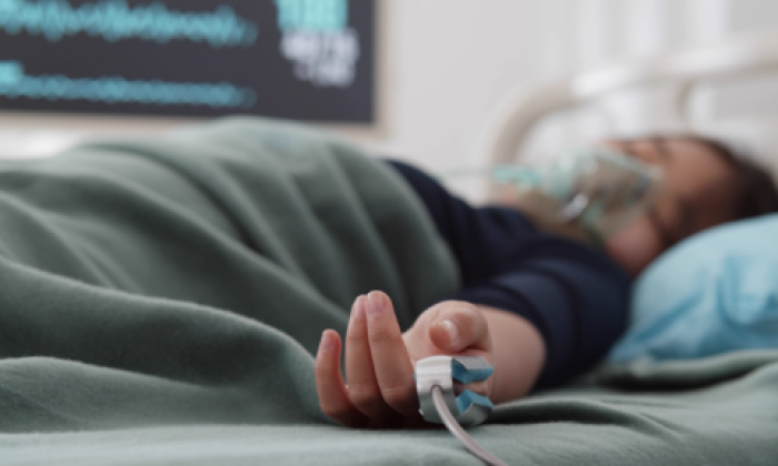 En tehlikeli hastalık Ankara’dan sonra Bolu’da da görüldü: Tedavisi yok!